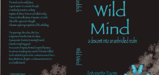 Upcoming Work – Wild Mind, Descent Into An Unbridled Realm